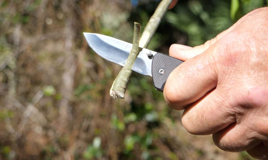 Camillus Bushcrafter Mini 6.75" Folding Knife